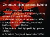 Humanitarinės teisės ir žmogaus teisių santykis 10 puslapis