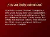 Pankų ﻿subkultūra 2 puslapis