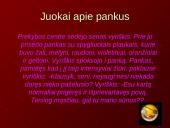 Pankų ﻿subkultūra 19 puslapis