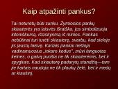 Pankų ﻿subkultūra 4 puslapis