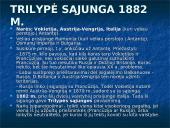 Pirmasis pasaulinis karas 1914-1918 metais 11 puslapis