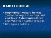 Pirmasis pasaulinis karas 1914-1918 metais 15 puslapis