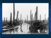 Pirmasis pasaulinis karas 1914-1918 metais 5 puslapis