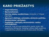 Pirmasis pasaulinis karas 1914-1918 metais 8 puslapis