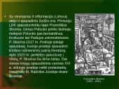 Reformacija Lietuvos Didžiojoje kunigaikštystėje 14 puslapis