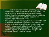 Reformacija Lietuvos Didžiojoje kunigaikštystėje 17 puslapis