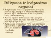 Rūkymas ir tabakas 15 puslapis
