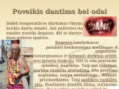 Rūkymas ir tabakas 18 puslapis