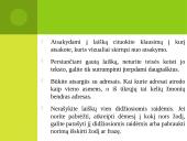Socialiniai ir etiniai informacinių technologijų aspektai 15 puslapis