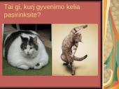 Sveikos mitybos nuostatų ugdymas pradinėse klasėse 17 puslapis