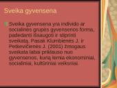 Sveikos mitybos nuostatų ugdymas pradinėse klasėse 3 puslapis