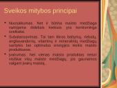 Sveikos mitybos nuostatų ugdymas pradinėse klasėse 7 puslapis