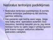 Valstybių teritorijų įgijimo būdai 7 puslapis
