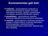 Glaustai apie vertybinius popierius 20 puslapis