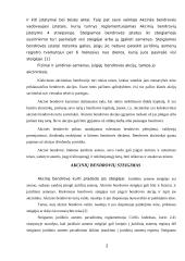 Akcinių bendrovių steigimas 2 puslapis