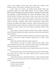 Akcinių bendrovių steigimas 3 puslapis