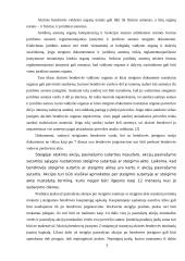 Akcinių bendrovių steigimas 7 puslapis