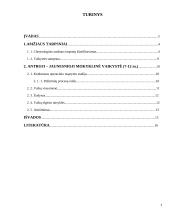 Antroji - jaunesnioji mokyklinė vaikystė (7-12 m.) 2 puslapis