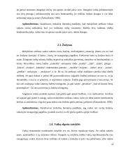 Antroji - jaunesnioji mokyklinė vaikystė (7-12 m.) 12 puslapis