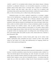 Antroji - jaunesnioji mokyklinė vaikystė (7-12 m.) 13 puslapis