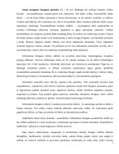 Antroji - jaunesnioji mokyklinė vaikystė (7-12 m.) 7 puslapis
