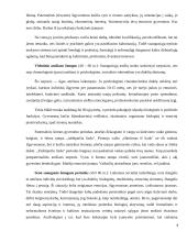 Antroji - jaunesnioji mokyklinė vaikystė (7-12 m.) 8 puslapis