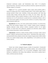 Antroji - jaunesnioji mokyklinė vaikystė (7-12 m.) 9 puslapis