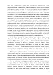 Fermentų įtaka duonos gamybos technologijoje 6 puslapis
