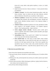 Hiperaktyvumas 5 puslapis