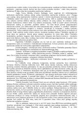 Informacijos apdorojimo būdai iki kompiuterių atsiradimo 4 puslapis