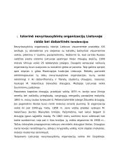 Nevyriausybinių organizacijų sistema Lietuvoje 2 puslapis