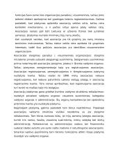 Nevyriausybinių organizacijų sistema Lietuvoje 11 puslapis