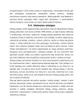 Nevyriausybinių organizacijų sistema Lietuvoje 13 puslapis