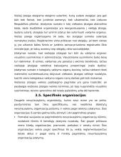 Nevyriausybinių organizacijų sistema Lietuvoje 14 puslapis