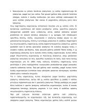 Nevyriausybinių organizacijų sistema Lietuvoje 15 puslapis