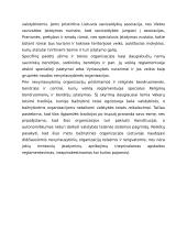 Nevyriausybinių organizacijų sistema Lietuvoje 16 puslapis