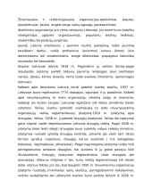 Nevyriausybinių organizacijų sistema Lietuvoje 3 puslapis