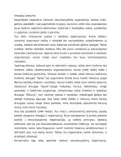 Nevyriausybinių organizacijų sistema Lietuvoje 4 puslapis