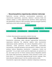 Nevyriausybinių organizacijų sistema Lietuvoje 9 puslapis