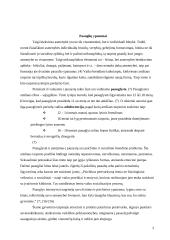 Paauglys: ypatumai ir problemos 2 puslapis