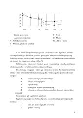 Paauglys: ypatumai ir problemos 5 puslapis