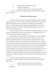 Paauglys: ypatumai ir problemos 6 puslapis