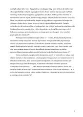 Paauglys: ypatumai ir problemos 8 puslapis