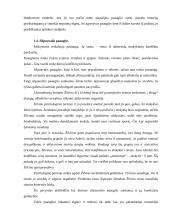 Konfliktiškas mokinys 11 puslapis