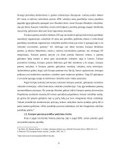 Patentų registravimo ir apsaugos sistemos ir jų tarpusavio santykis 11 puslapis