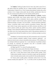 Patentų registravimo ir apsaugos sistemos ir jų tarpusavio santykis 12 puslapis