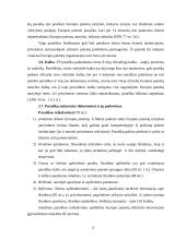 Patentų registravimo ir apsaugos sistemos ir jų tarpusavio santykis 13 puslapis