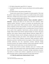 Patentų registravimo ir apsaugos sistemos ir jų tarpusavio santykis 16 puslapis