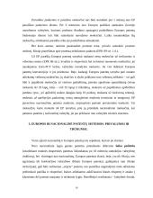 Patentų registravimo ir apsaugos sistemos ir jų tarpusavio santykis 17 puslapis