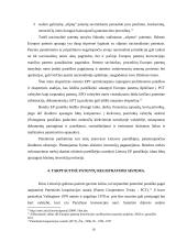 Patentų registravimo ir apsaugos sistemos ir jų tarpusavio santykis 19 puslapis